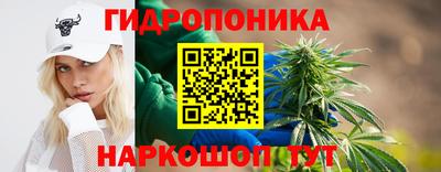 гидра Кохма