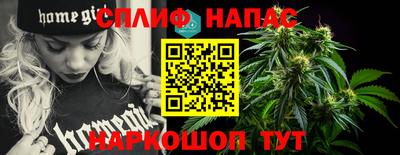 гидра Кохма