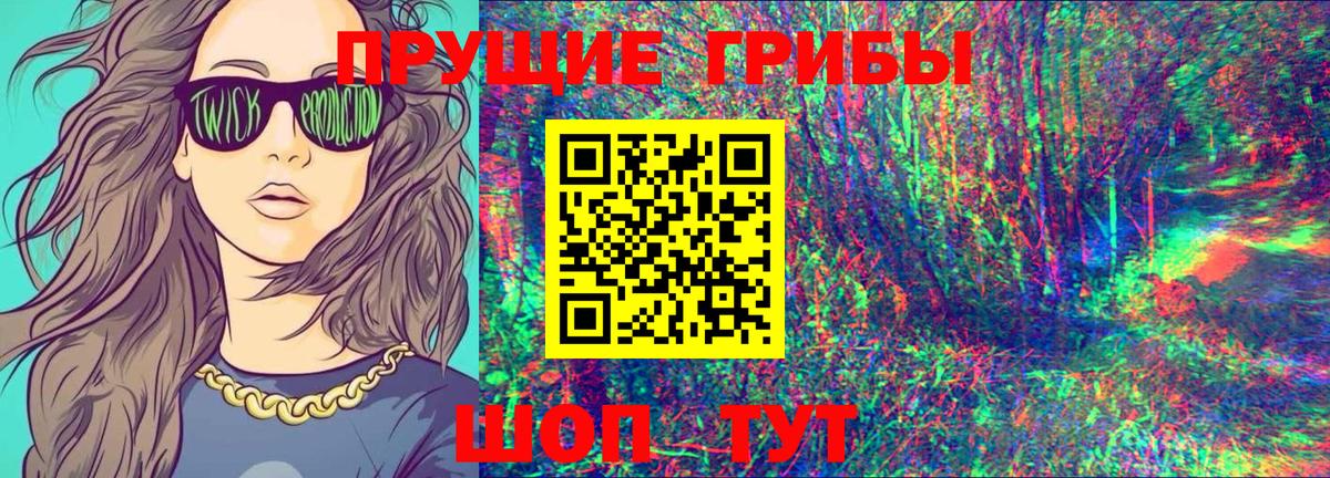 Галлюциногенные грибы MAGIC MUSHROOMS  Вход с VPN  Псилоцибиновые грибы Cubensis  Владимир 