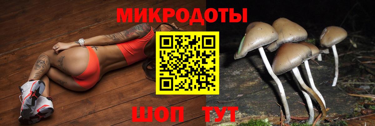 Псилоцибиновые грибы Cubensis Владимир